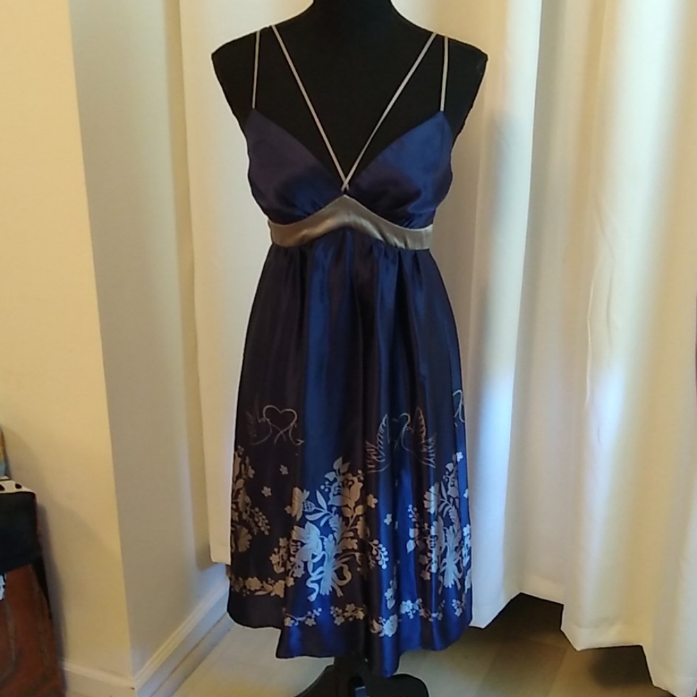 NWT Vintage Voom by Joy Han 100% silk dress